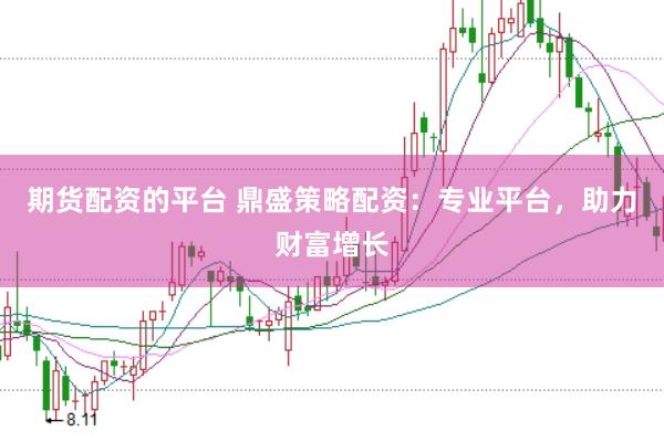 期货配资的平台 鼎盛策略配资：专业平台，助力财富增长