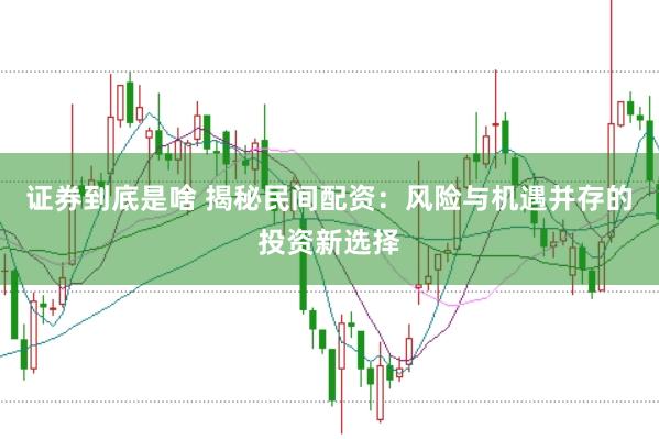 证券到底是啥 揭秘民间配资：风险与机遇并存的投资新选择
