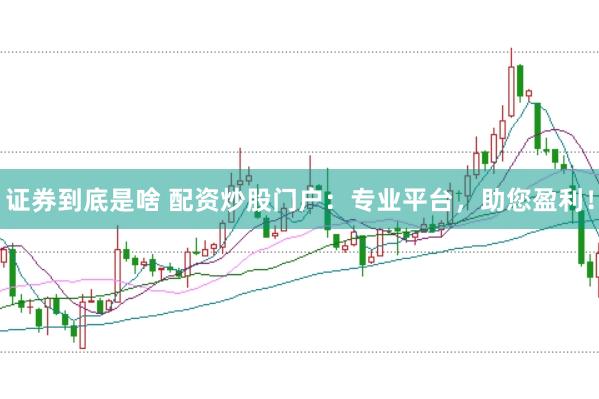 证券到底是啥 配资炒股门户：专业平台，助您盈利！