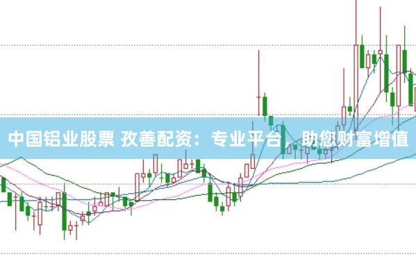 中国铝业股票 孜善配资：专业平台，助您财富增值