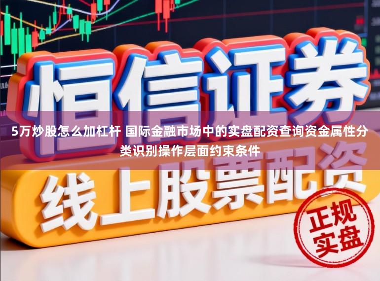 5万炒股怎么加杠杆 国际金融市场中的实盘配资查询资金属性分类识别操作层面约束条件