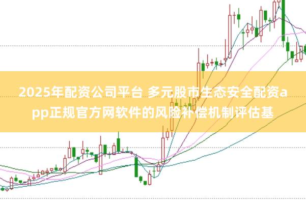 2025年配资公司平台 多元股市生态安全配资app正规官方网软件的风险补偿机制评估基
